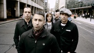 Broilers