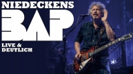 BAP