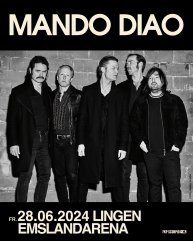 MANDO DIAO